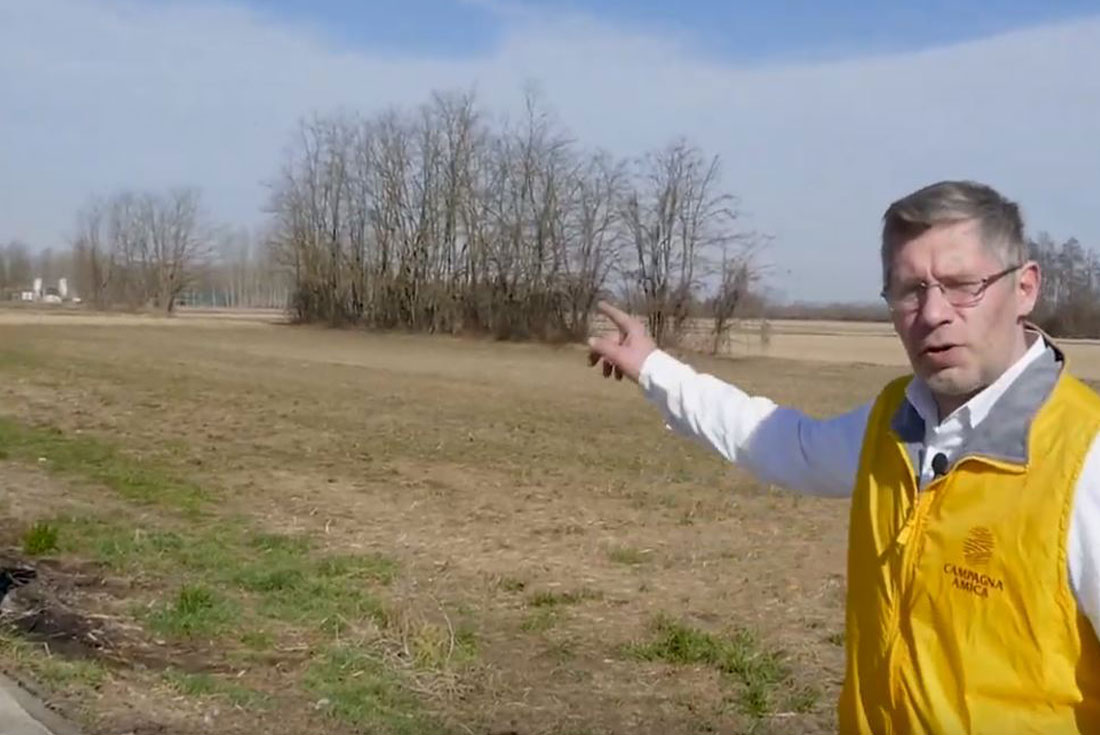 davide gallina youtube oca di sant albino